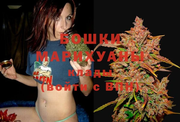 гашик Бронницы