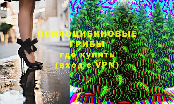 гашик Бронницы