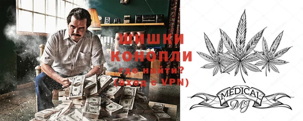 гашик Бронницы
